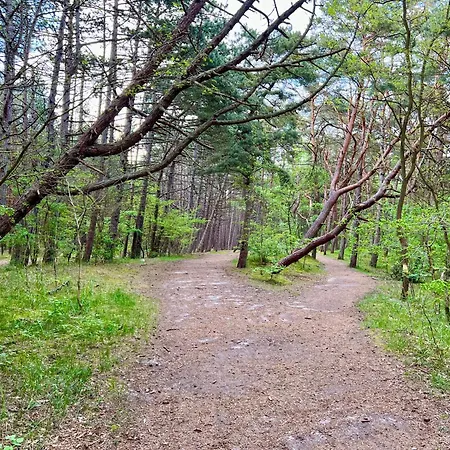 Diuna 400 M Od Plazy * Międzywodzie